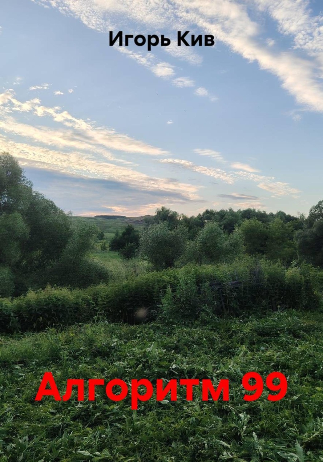 Обложка книги «Алгоритм 99»