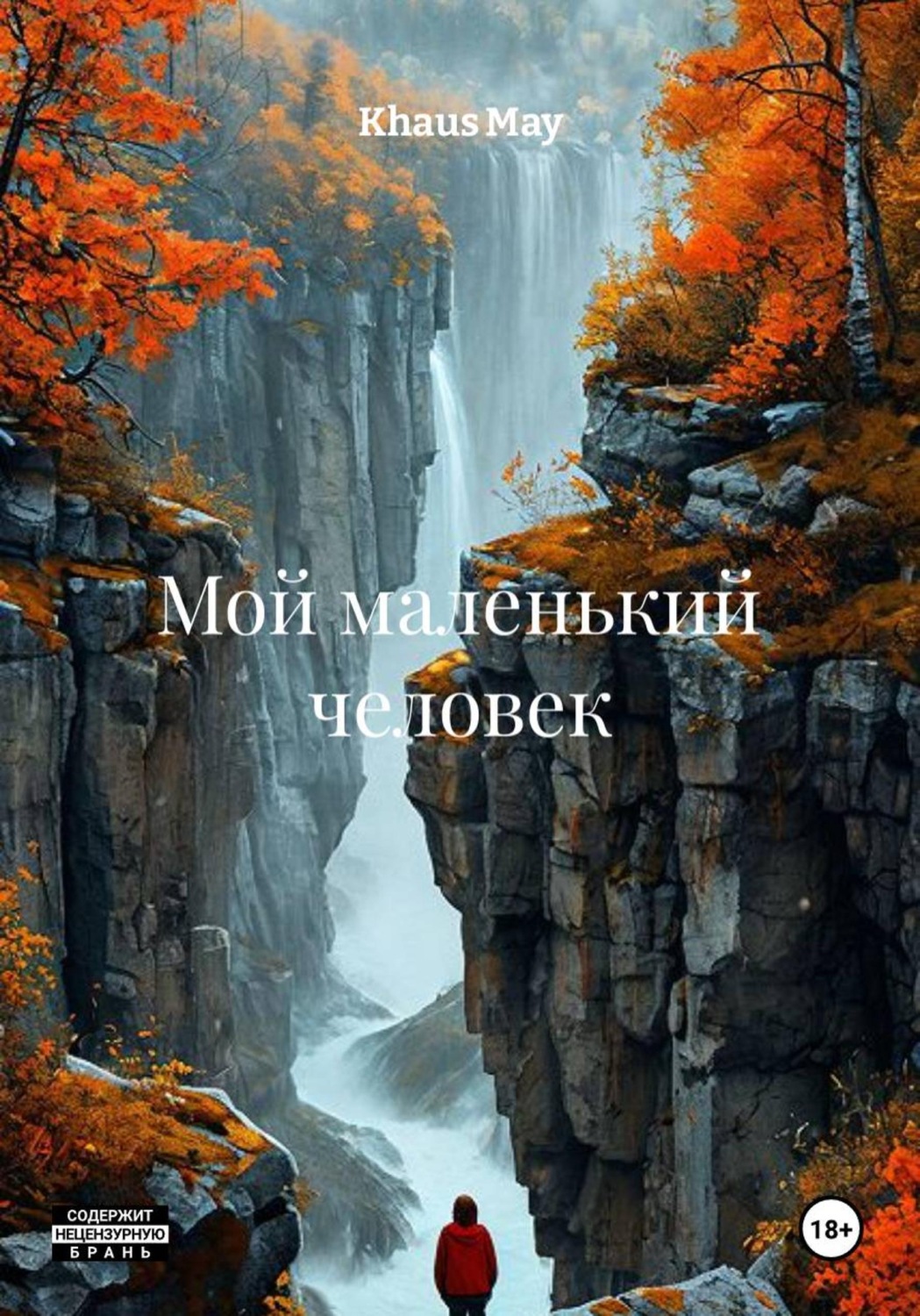 Обложка книги «Мой маленький человек»