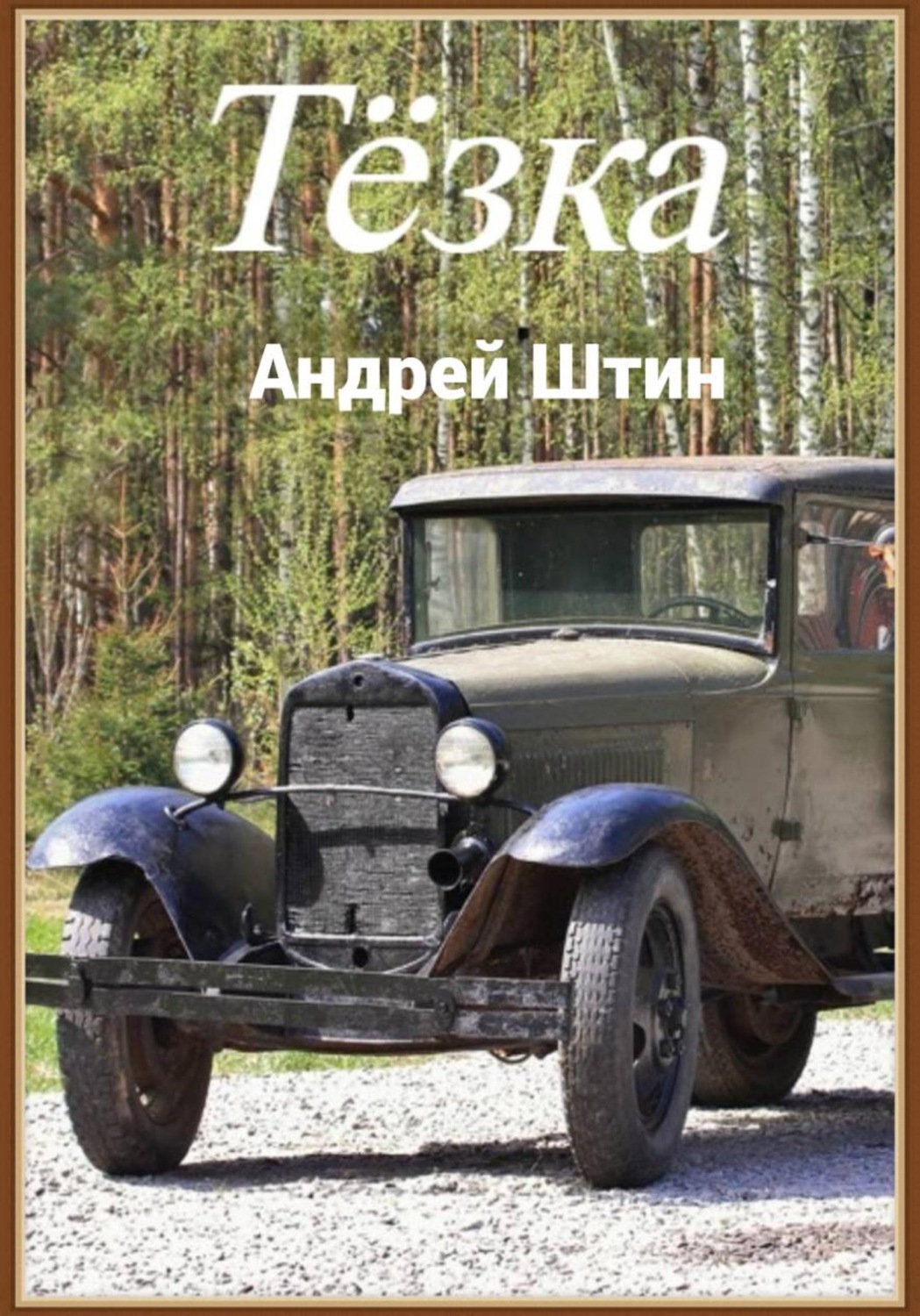 Обложка книги «Тёзка»