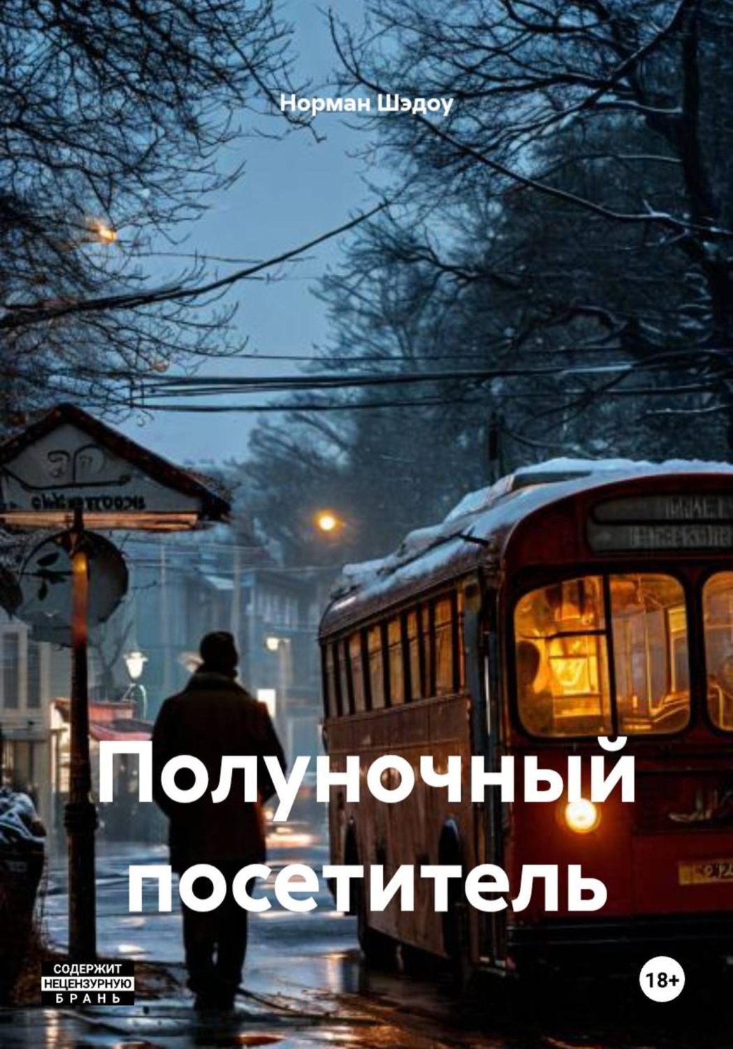 Обложка книги «Полуночный посетитель»