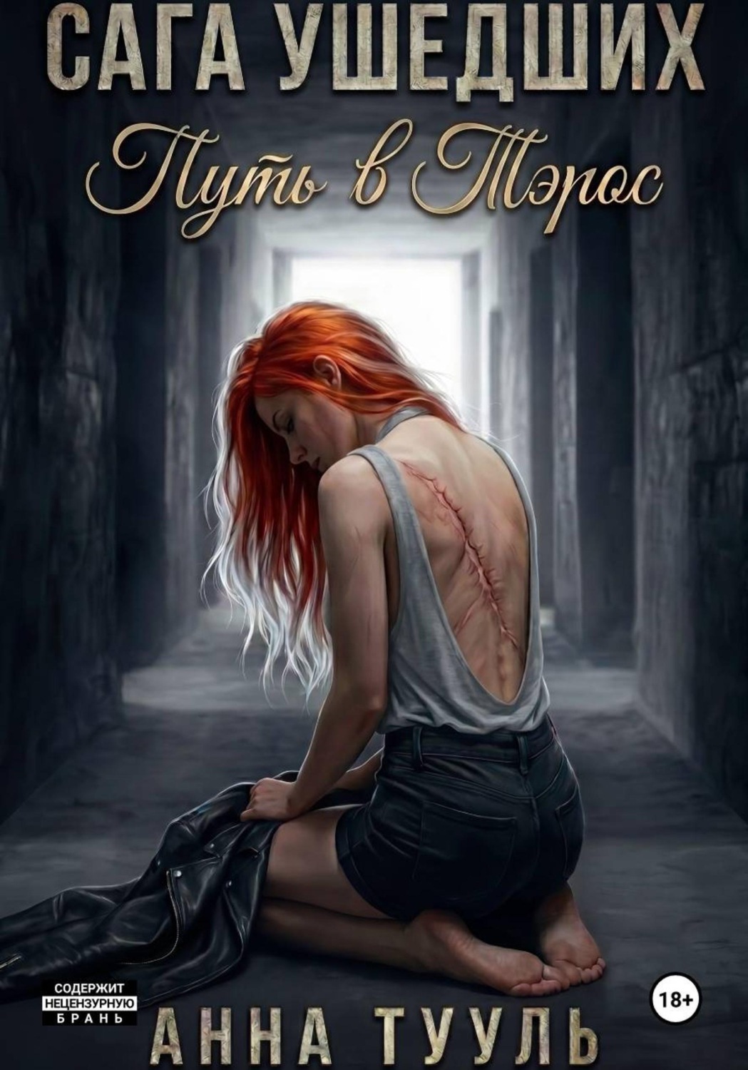 Обложка книги «Сага Ушедших. Путь в Тэрос»