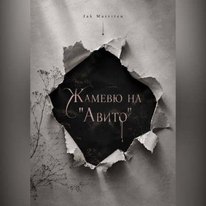 Обложка книги «Жамевю на Авито»