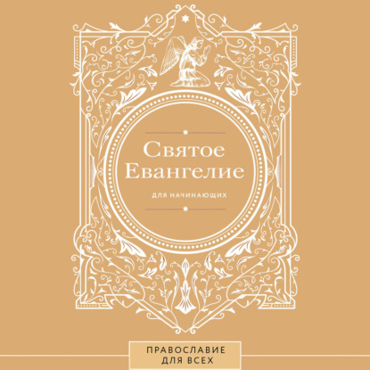 Обложка книги «Святое Евангелие для начинающих»