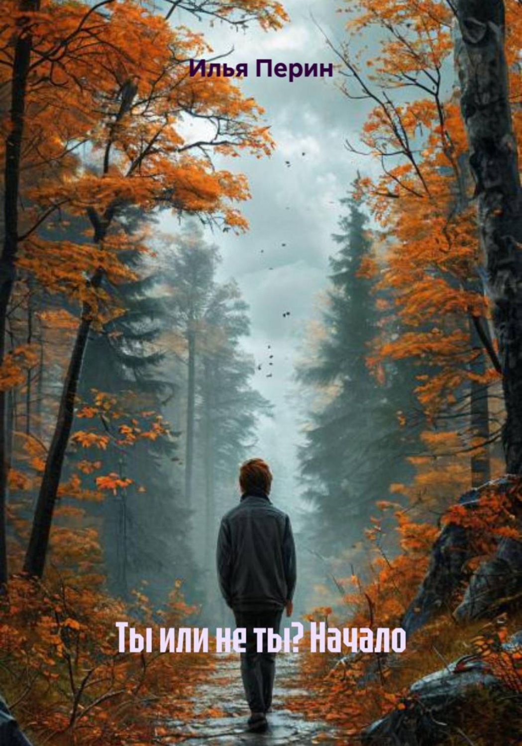 Обложка книги «Ты или не ты? Начало»