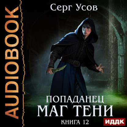 Обложка книги «Попаданец. Маг Тени. Книга 12»