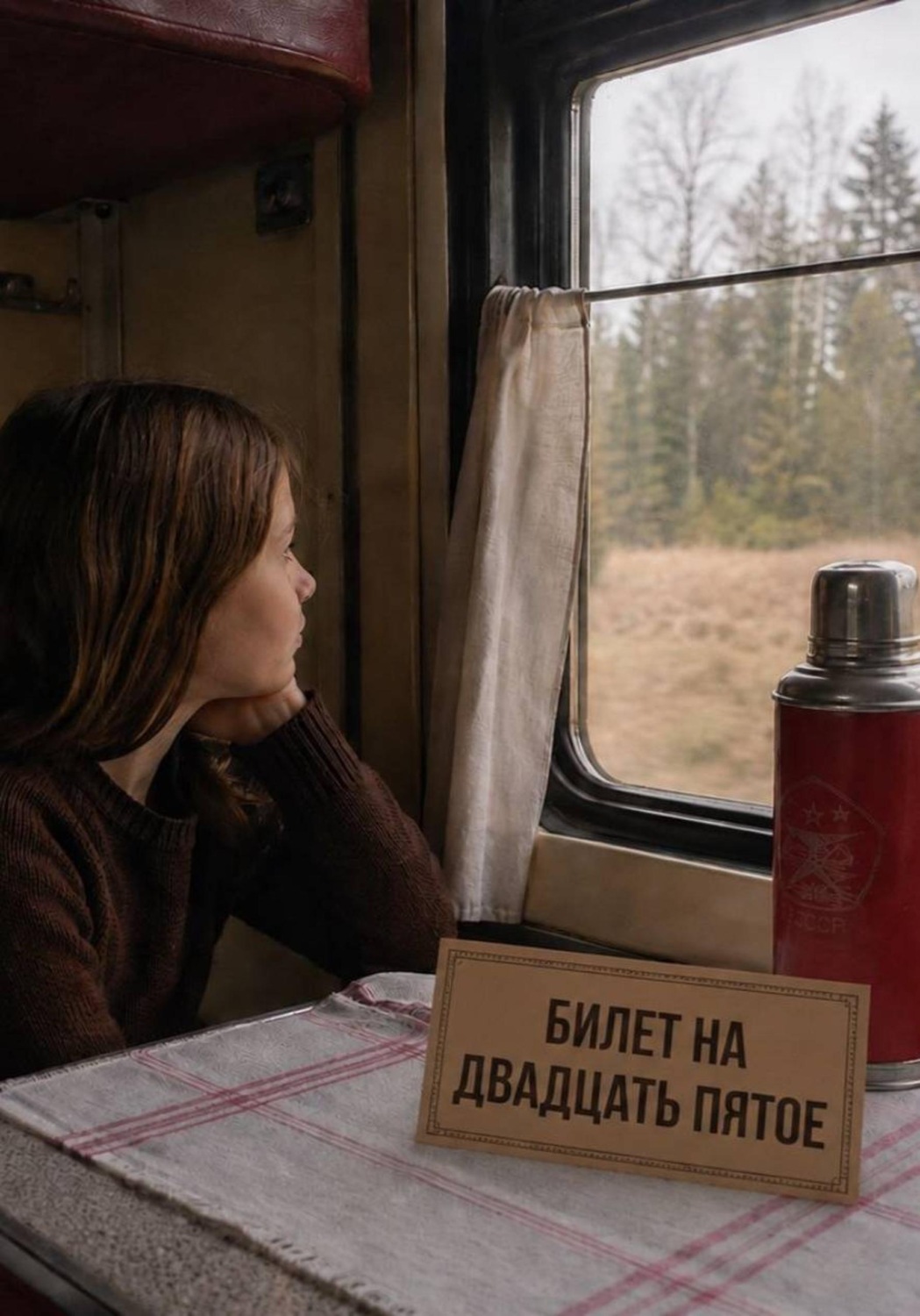 Обложка книги «Билет на двадцать пятое»