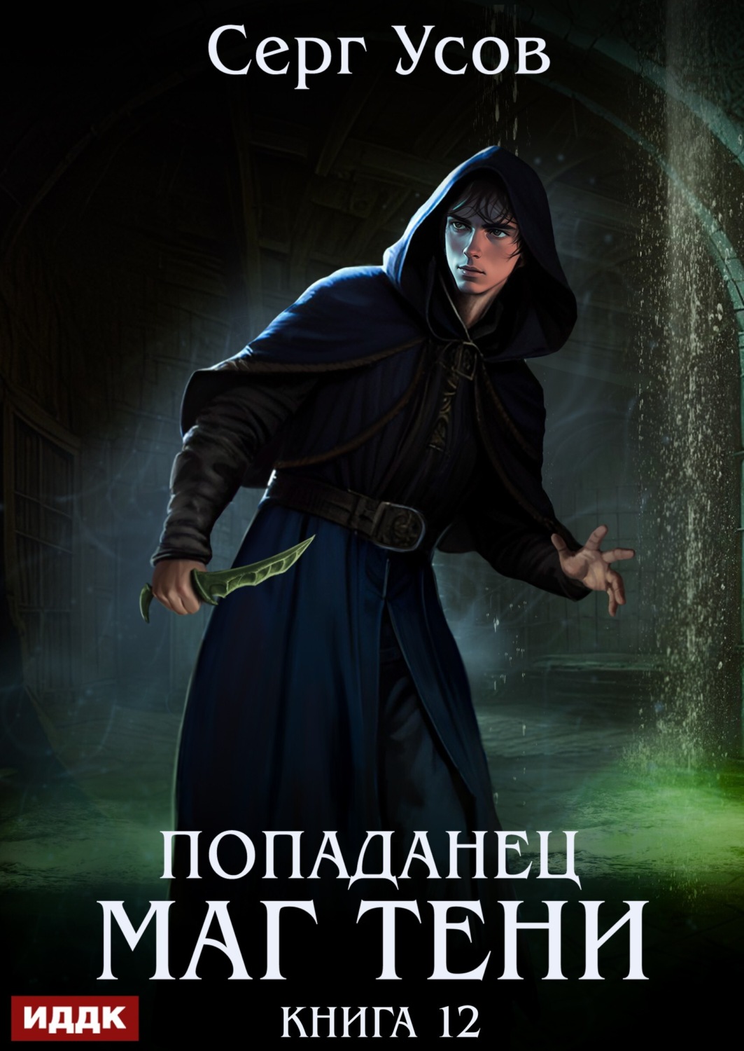 Обложка книги «Попаданец. Маг Тени. Книга 12»