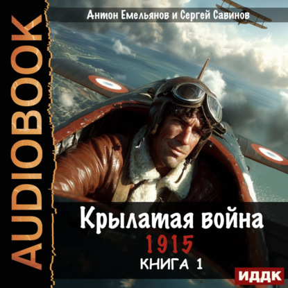 Обложка книги «Крылатая война. 1915. Книга 1»
