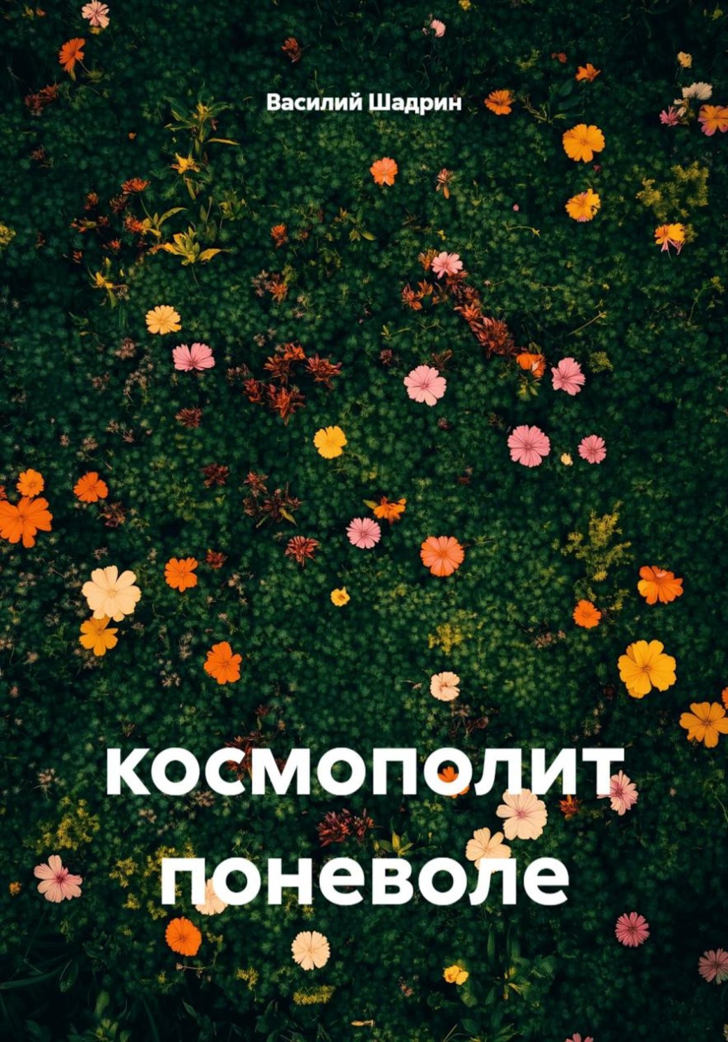 Обложка книги «Космополит поневоле»