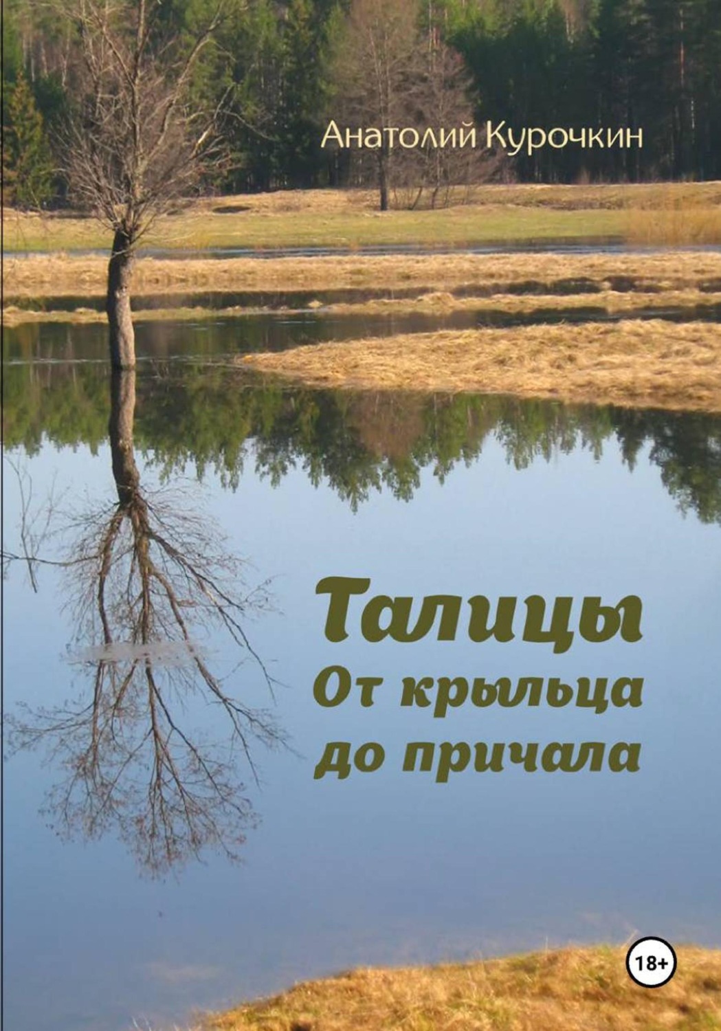 Обложка книги «Талицы. От крыльца до причала»