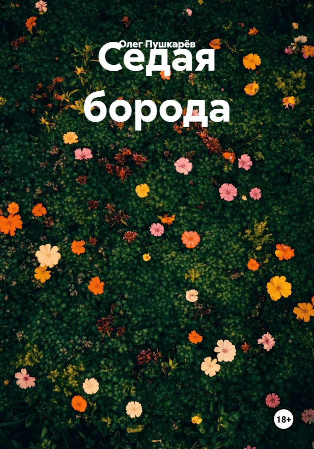 Обложка книги «Седая борода»