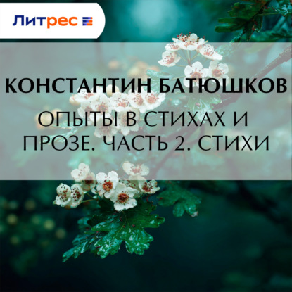 Обложка книги «Опыты в стихах и прозе. Часть 2. Стихи»