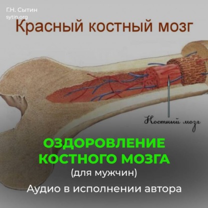 Обложка книги «Оздоровление костного мозга для мужчин»