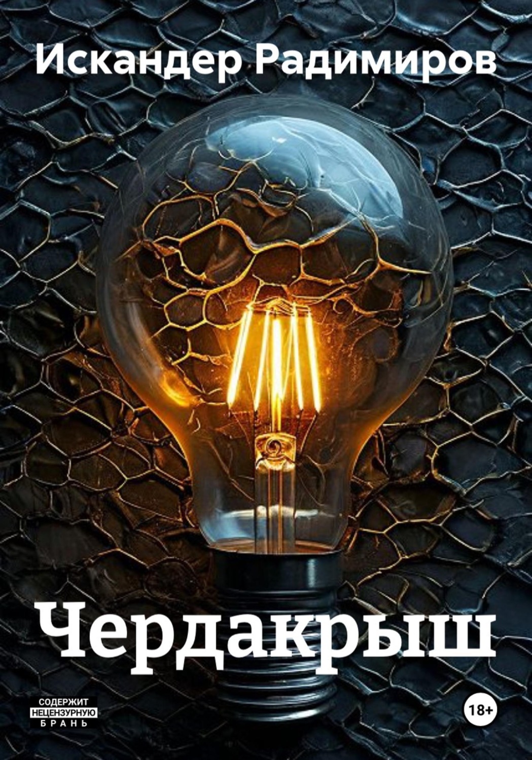 Обложка книги «Чердакрыш»