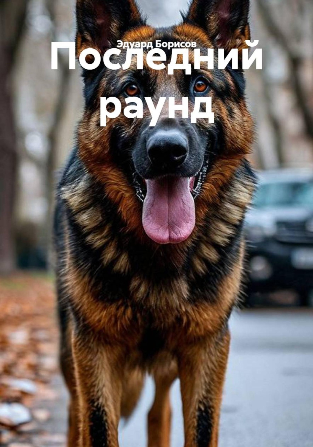 Обложка книги «Последний раунд»