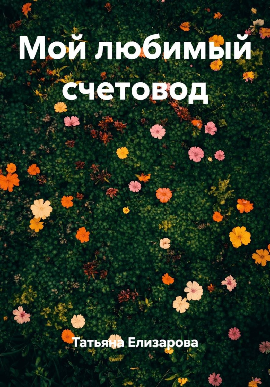Обложка книги «Мой любимый счетовод»