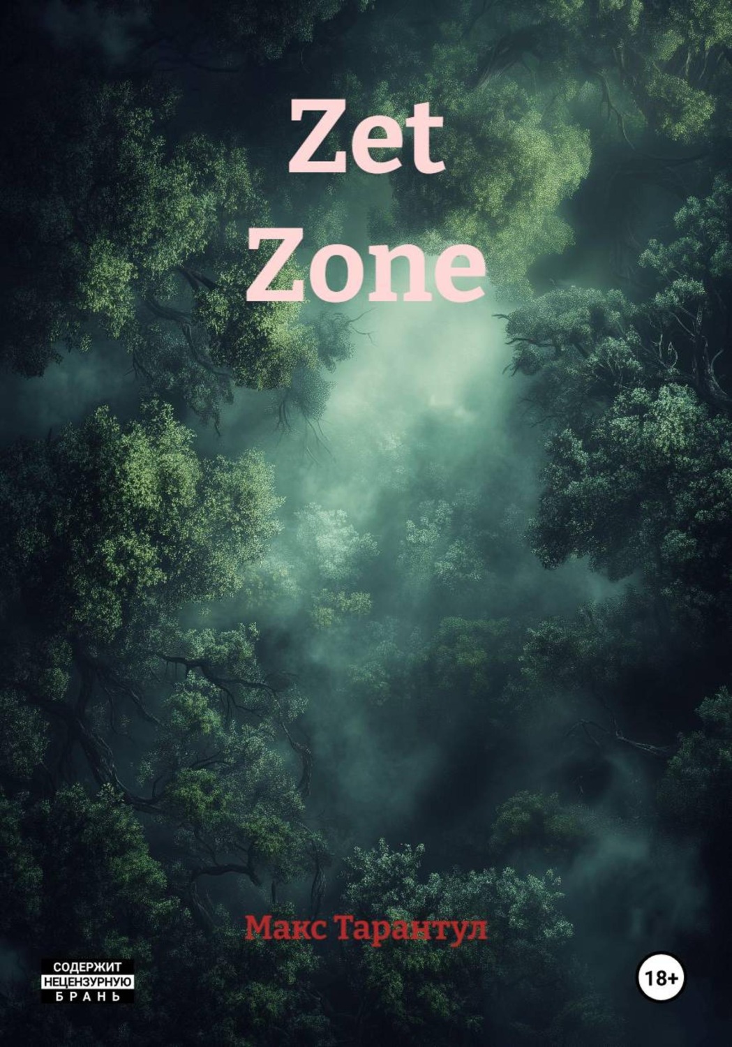 Обложка книги «Zet Zone»