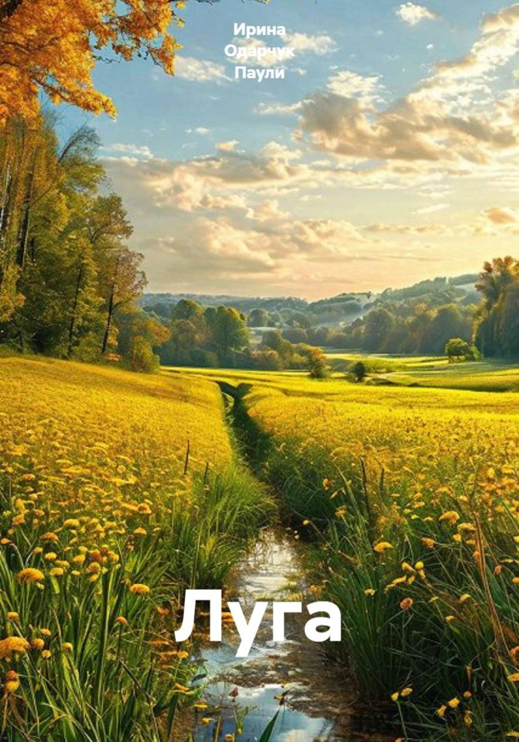 Обложка книги «Луга»
