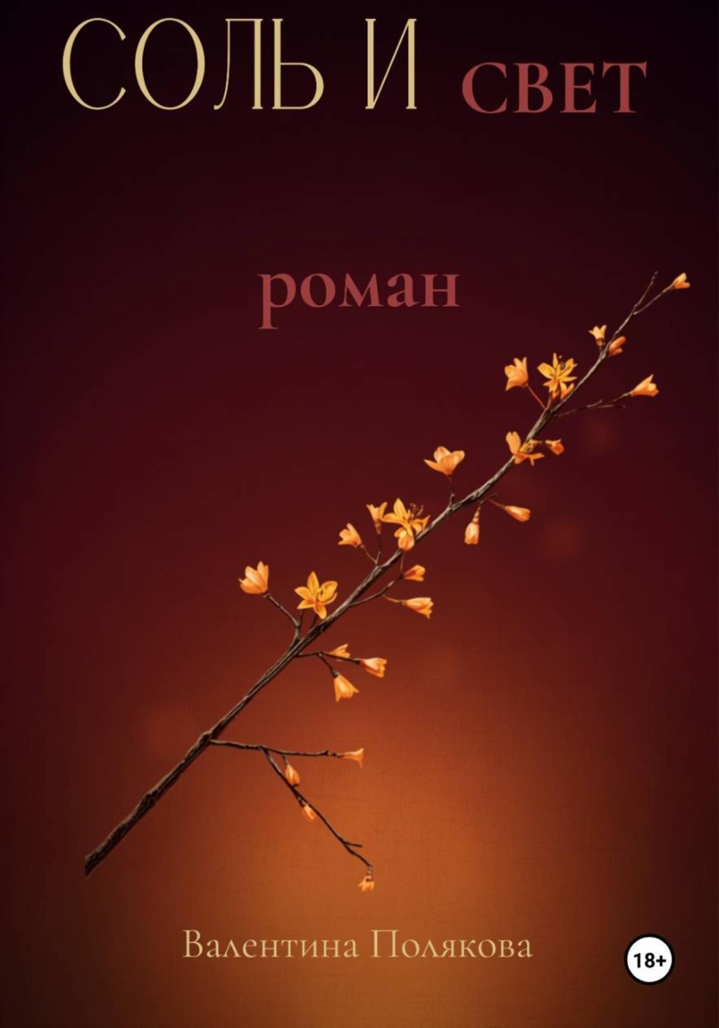 Обложка книги «Соль и свет.»