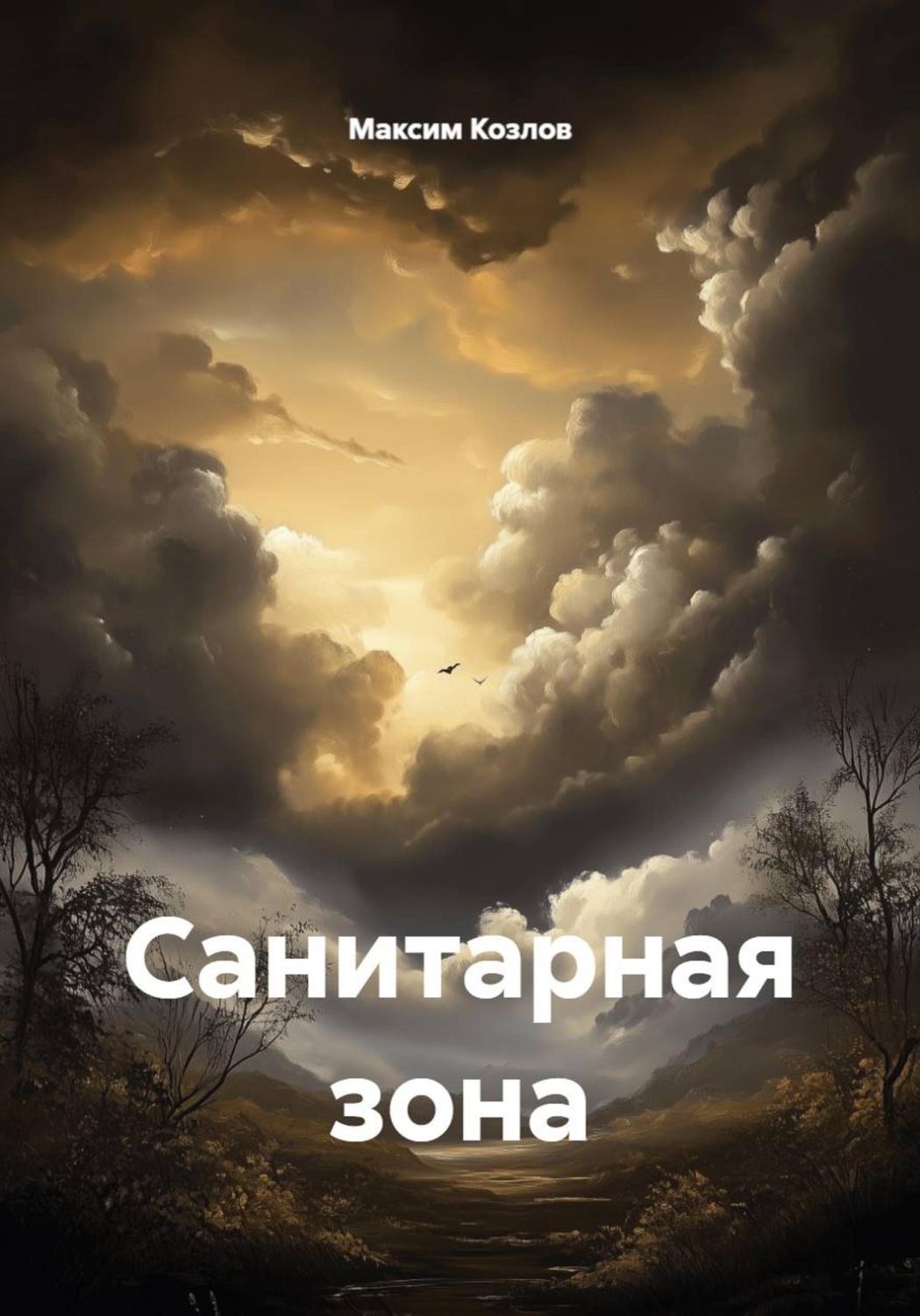 Обложка книги «Санитарная зона»