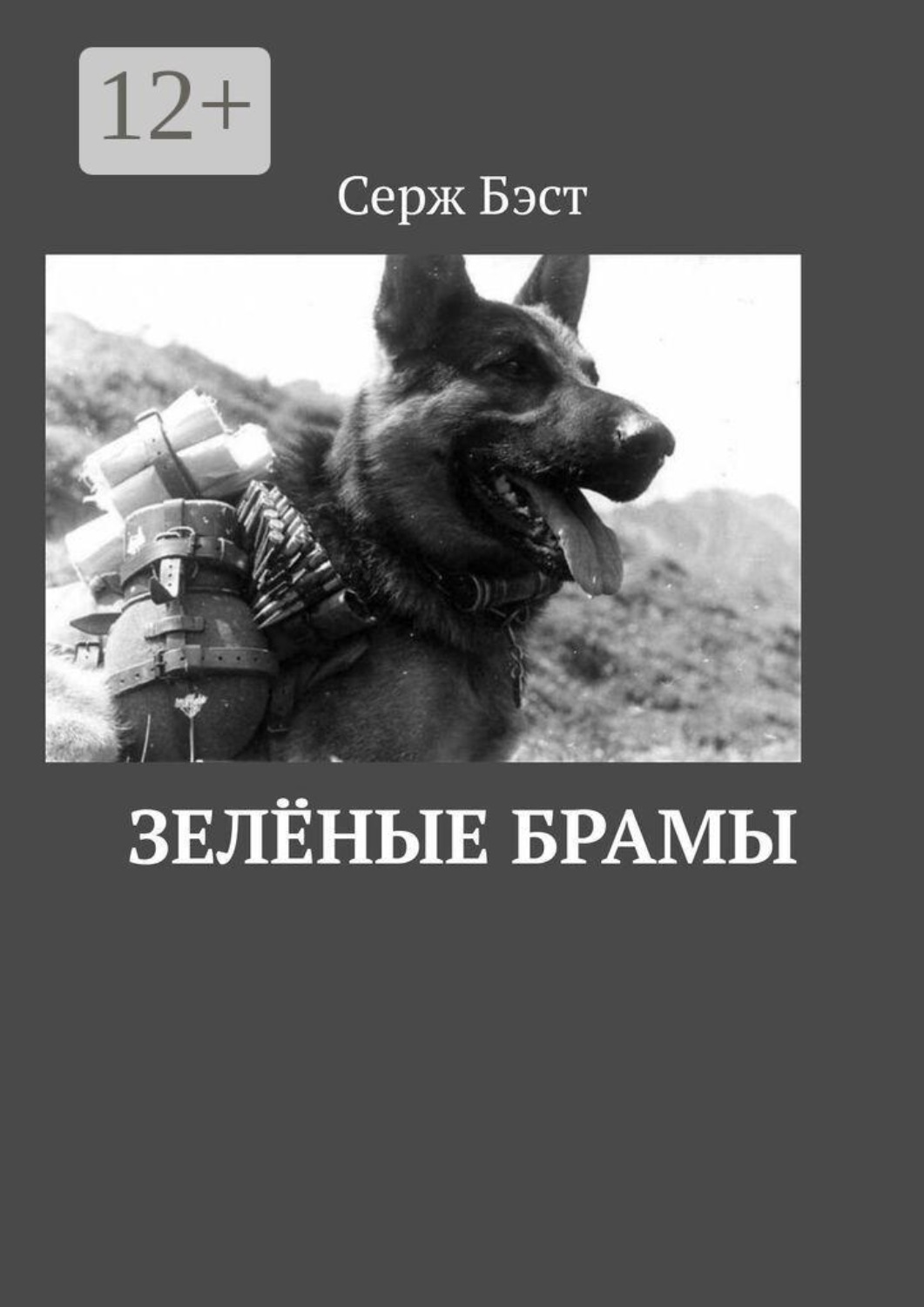 Обложка книги «Зелёные Брамы. Роман-хроника»