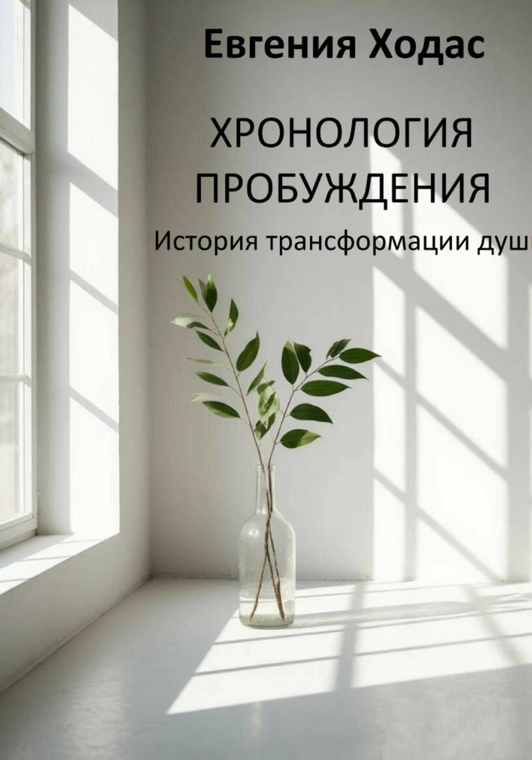 Обложка книги «Хронология пробуждения: история трансформации души»