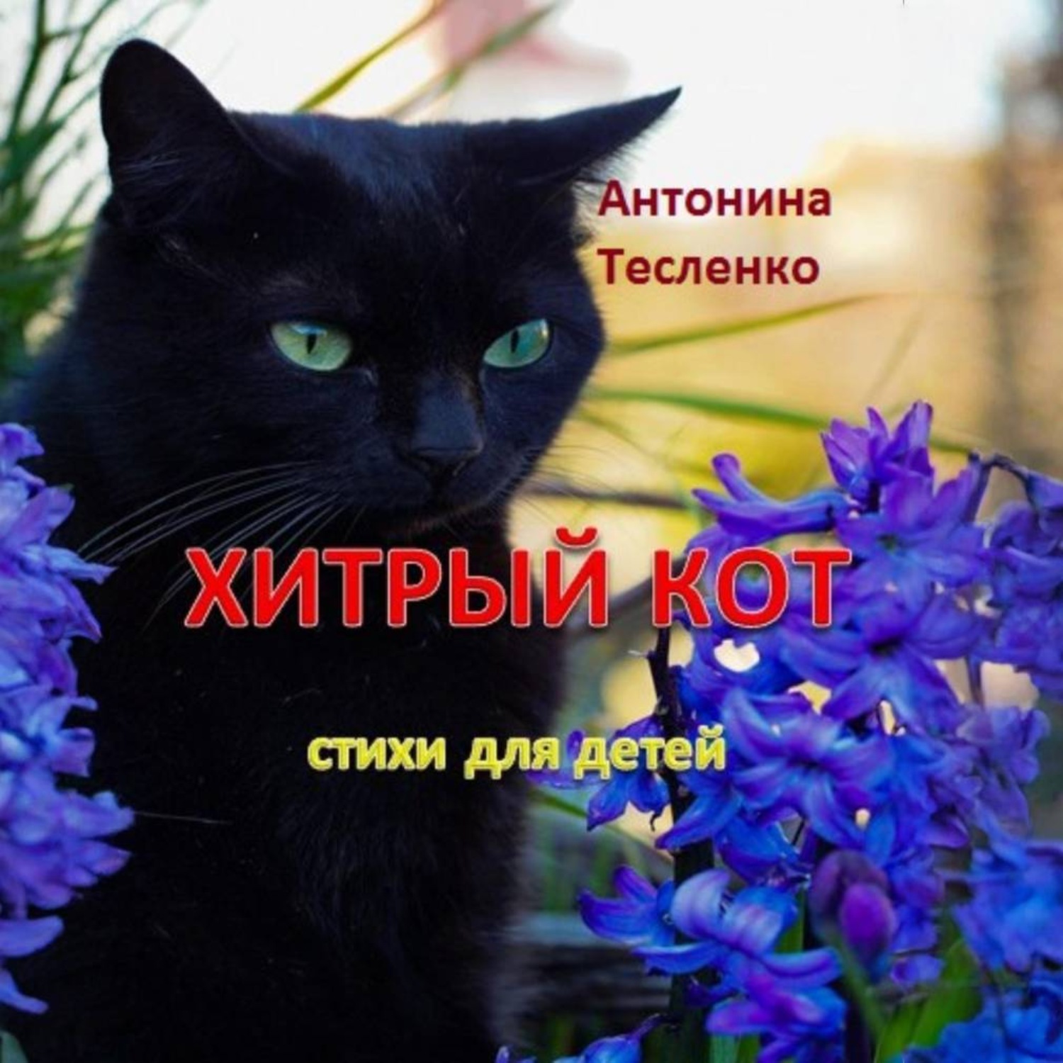 Обложка книги «Хитрый кот»
