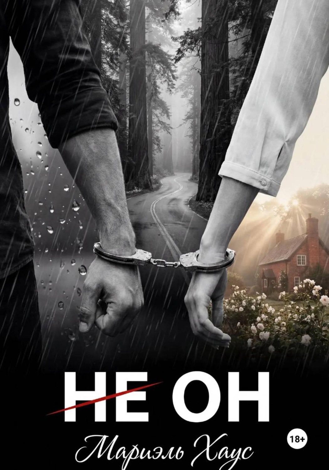 Обложка книги «НЕ ОН»