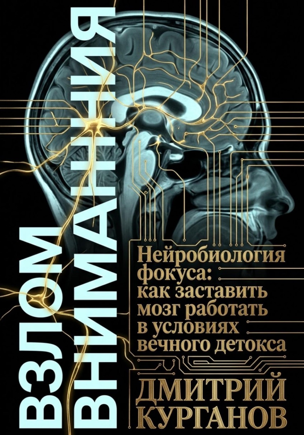 Обложка книги «Взлом внимания. Нейробиология фокуса: как заставить мозг работать в условиях вечного детокса»