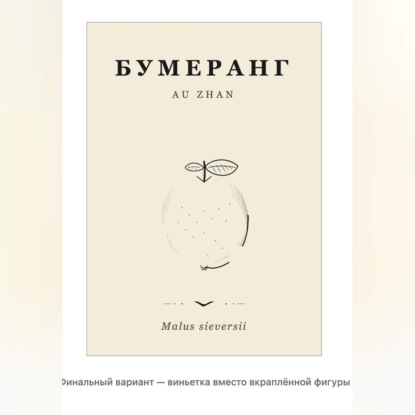 Обложка книги «Бумеранг»