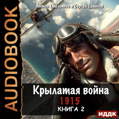 Обложка книги «Крылатая война. 1915. Книга 2»