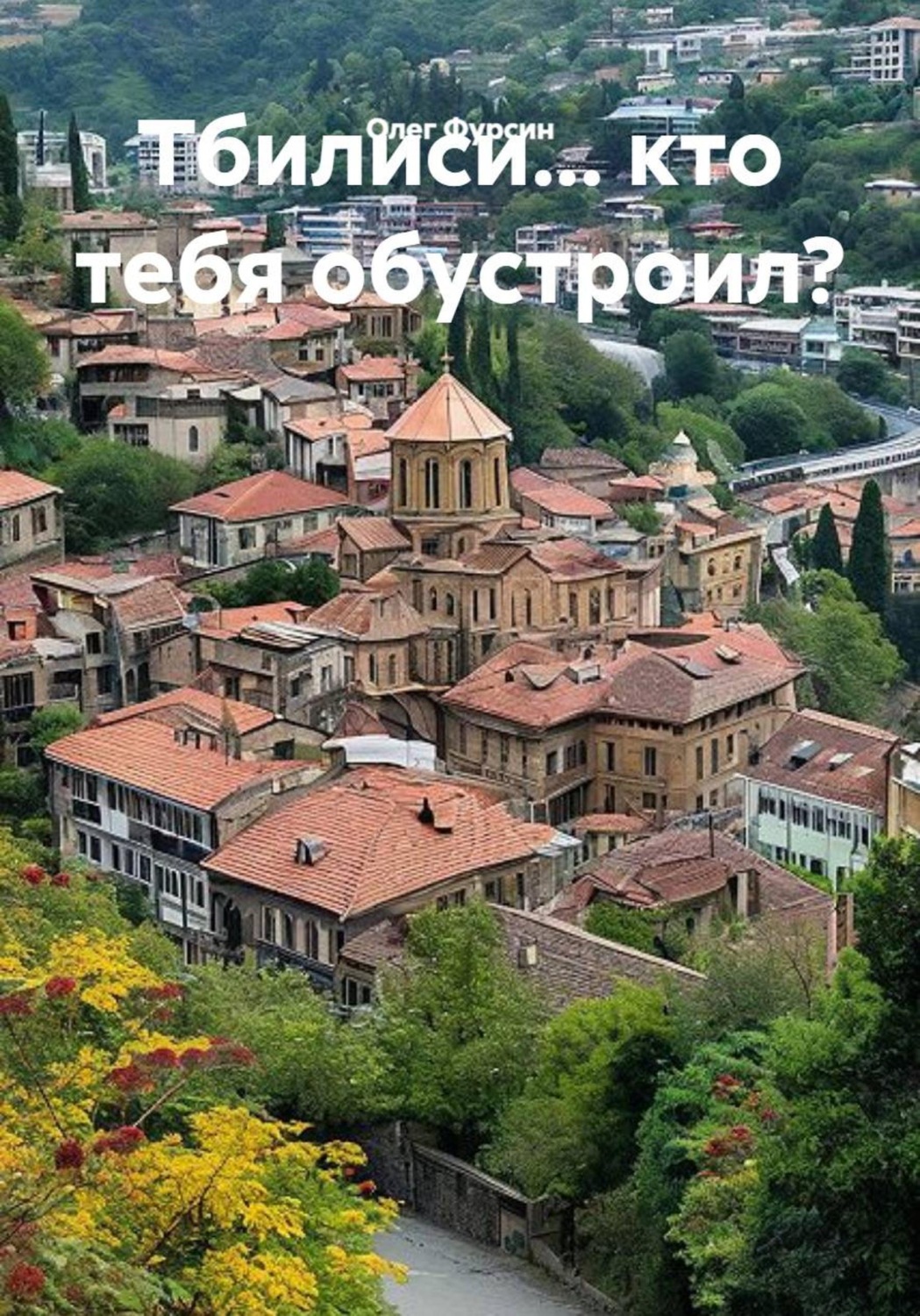 Обложка книги «Тбилиси... кто тебя обустроил?»