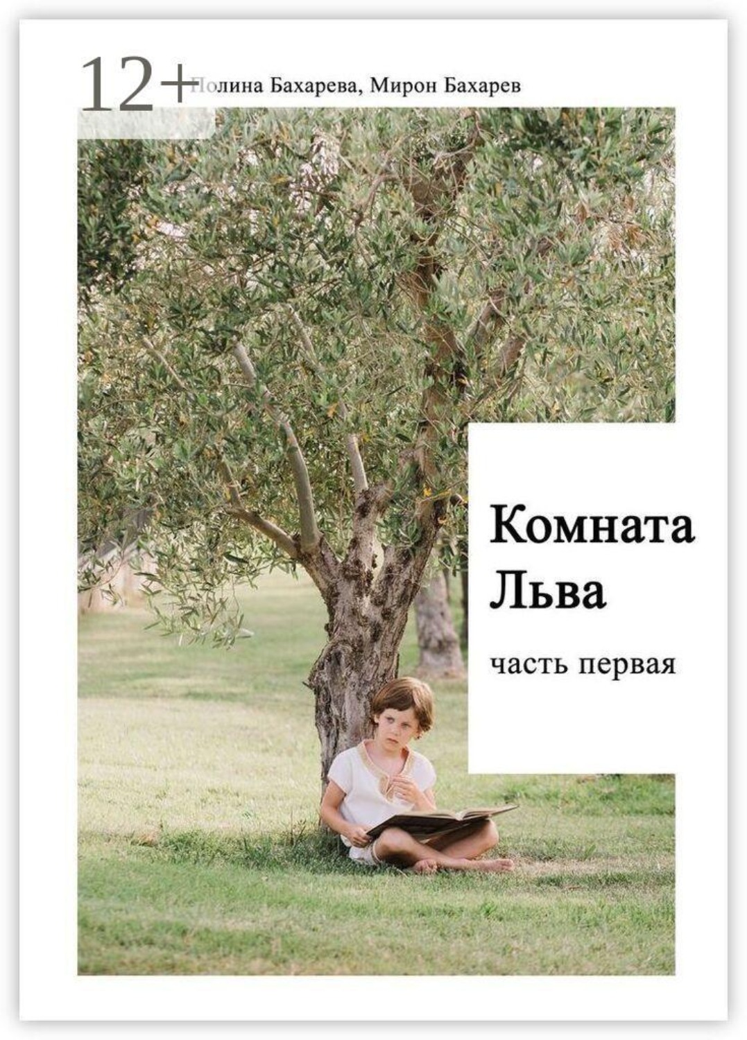 Обложка книги «Комната Льва. Часть первая»
