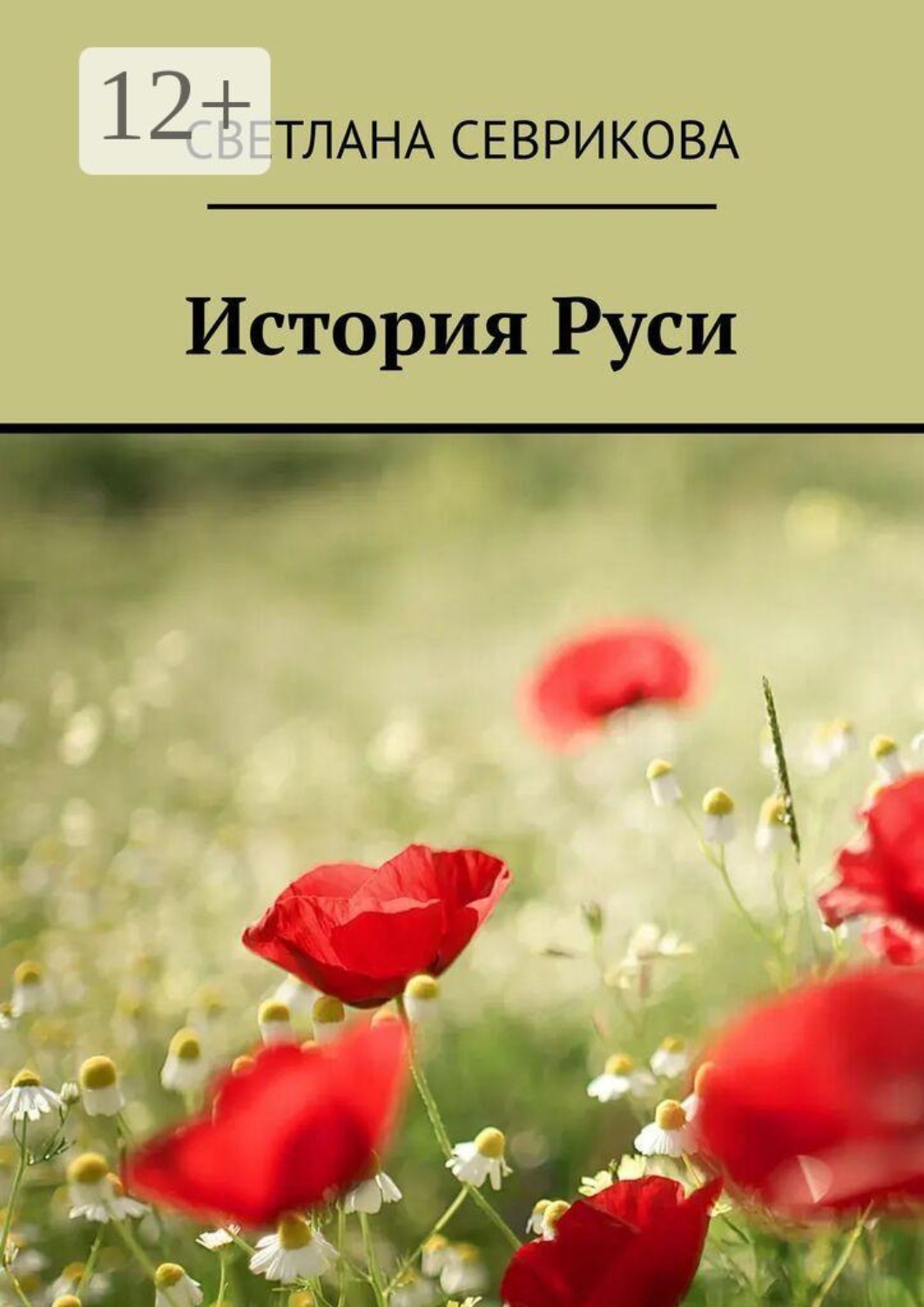 Обложка книги «История Руси»