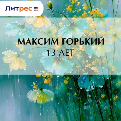 Обложка книги «13 лет»
