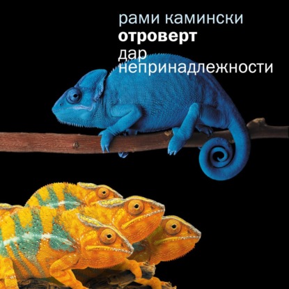 Обложка книги «Отроверт. Дар непринадлежности»