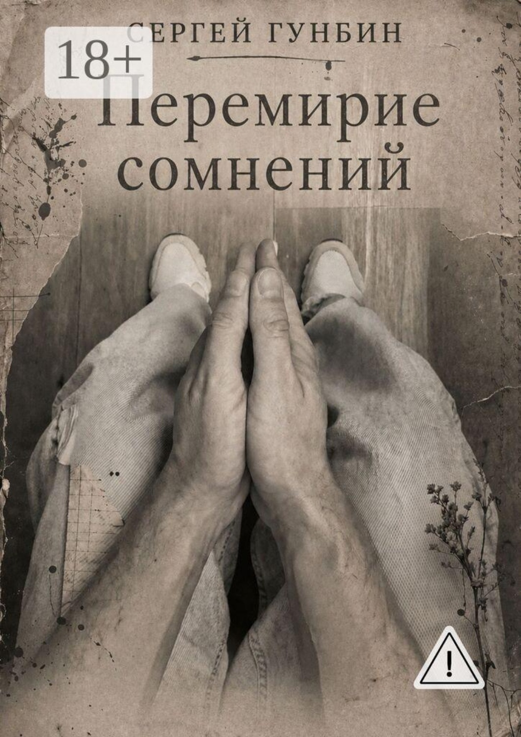Обложка книги «Перемирие сомнений»