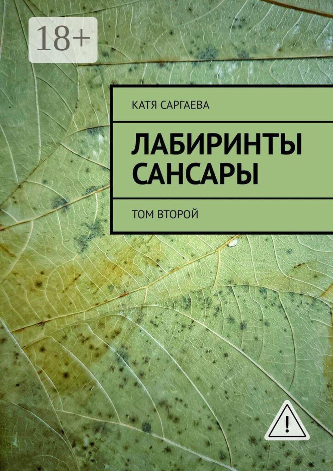 Обложка книги «Лабиринты сансары. Том второй»