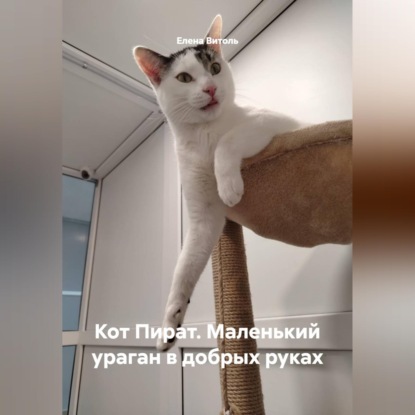 Обложка книги «Кот Пират: Маленький ураган в добрых руках»