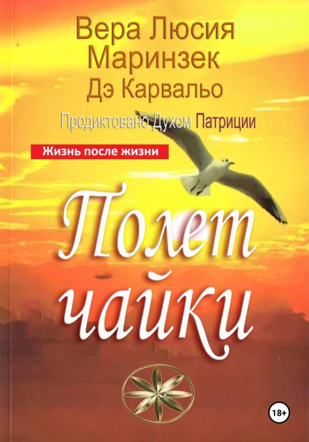 Обложка книги «Полет чайки»