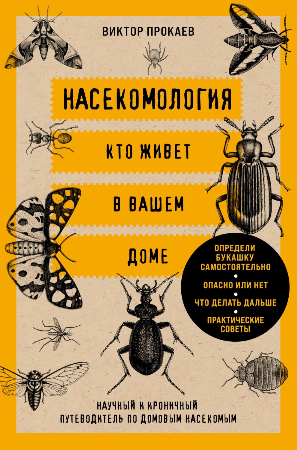 Обложка книги «Насекомология. Кто живет в вашем доме. Научный и ироничный путеводитель по домовым насекомым»