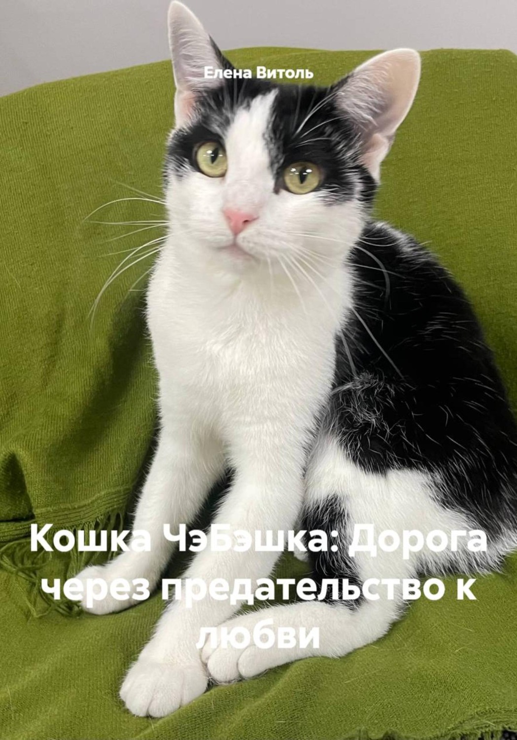 Обложка книги «Кошка ЧэБэшка: Дорога через предательство к любви»