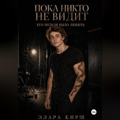 Обложка книги «Пока никто не видит. Его нельзя было любить.»