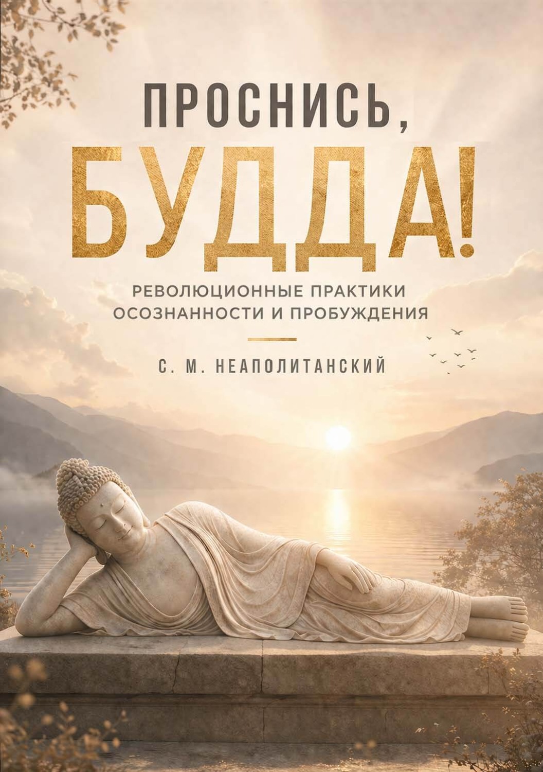 Обложка книги «Проснись, Будда! Революционные практики осознанности и пробуждения»