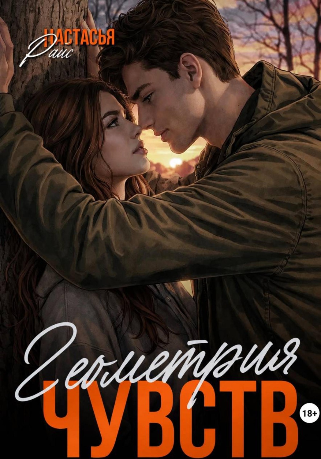 Обложка книги «Геометрия чувств»