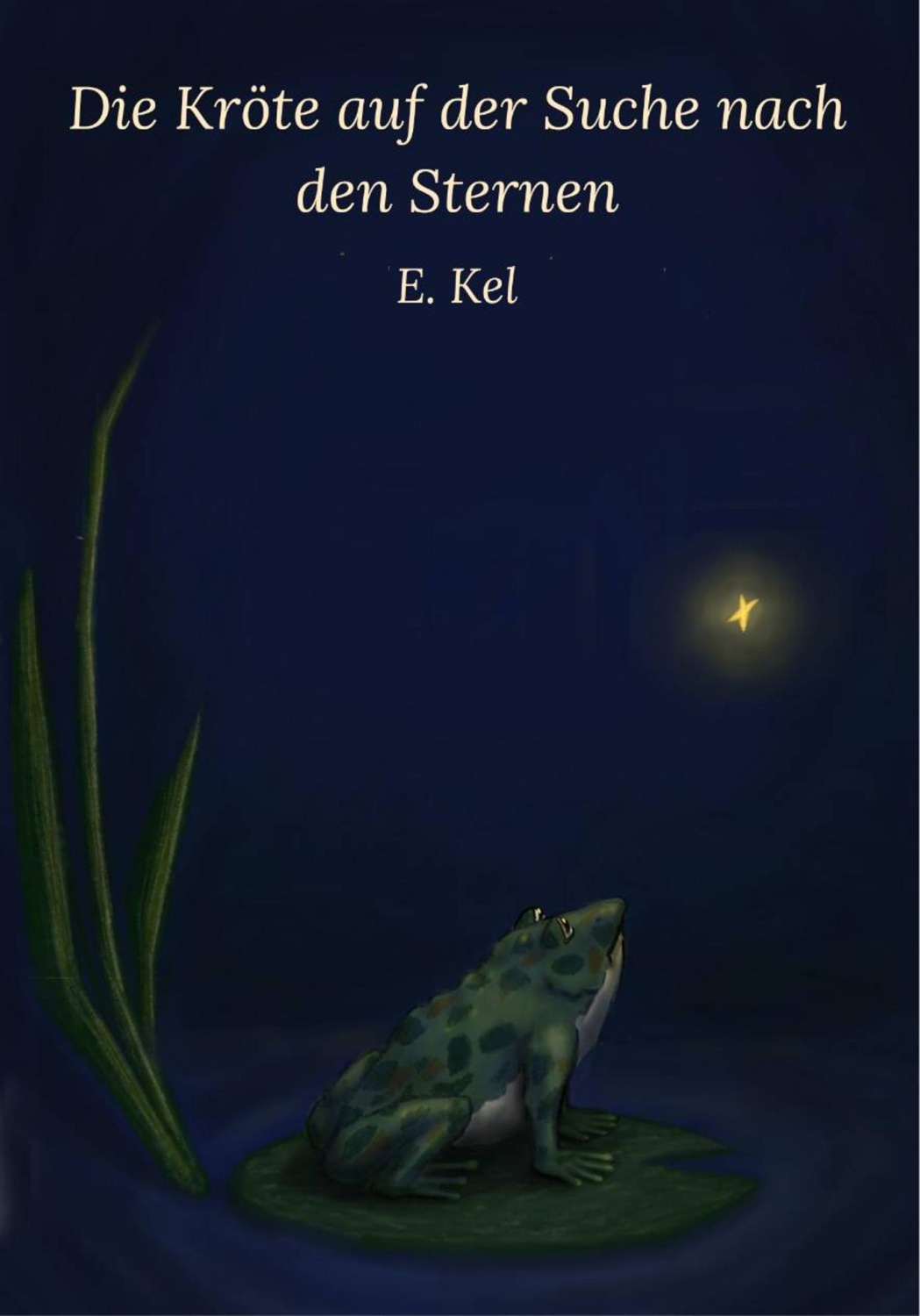 Обложка книги «Die Kröte auf der Suche nach den Sternen»