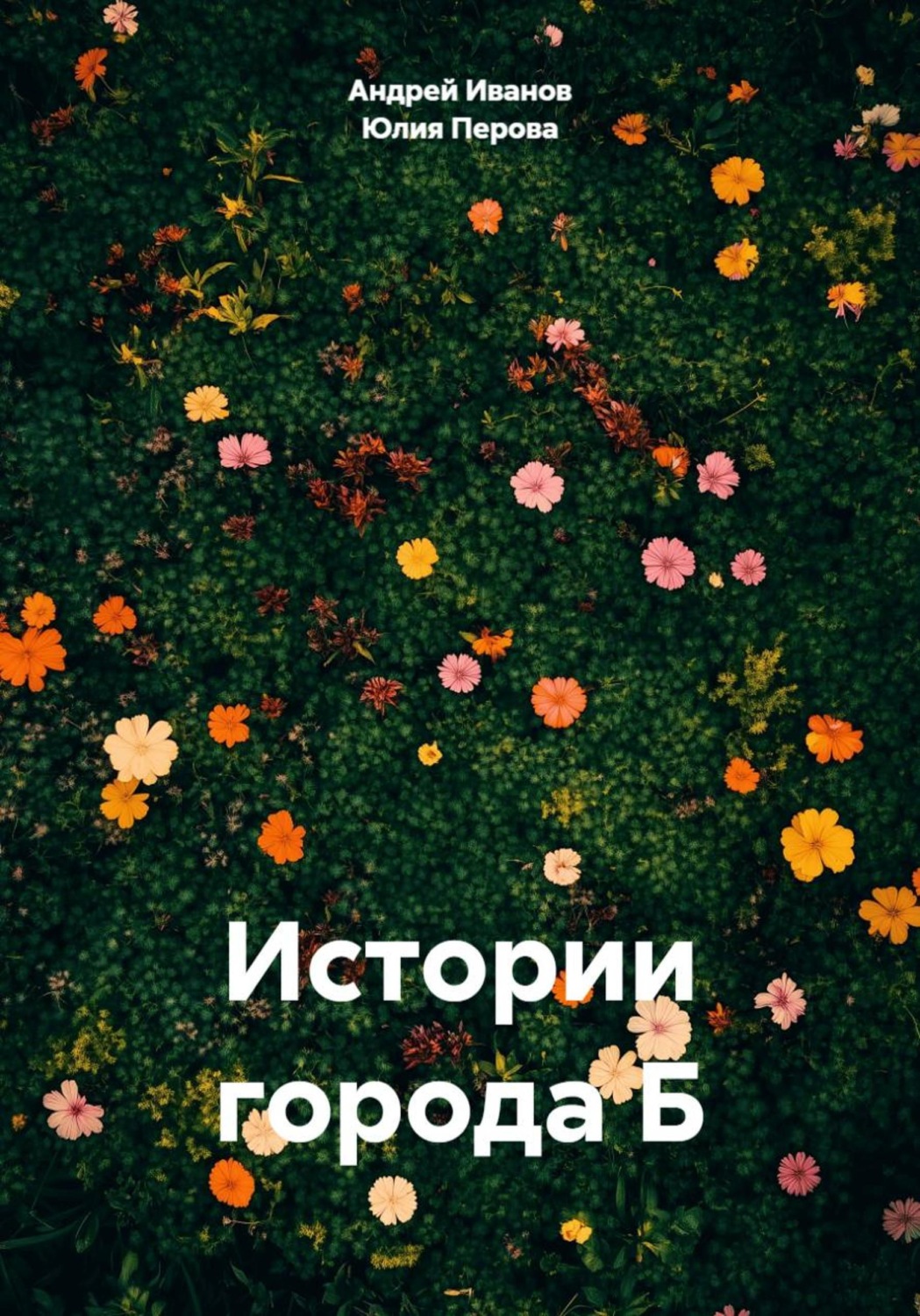 Обложка книги «Истории города Б»