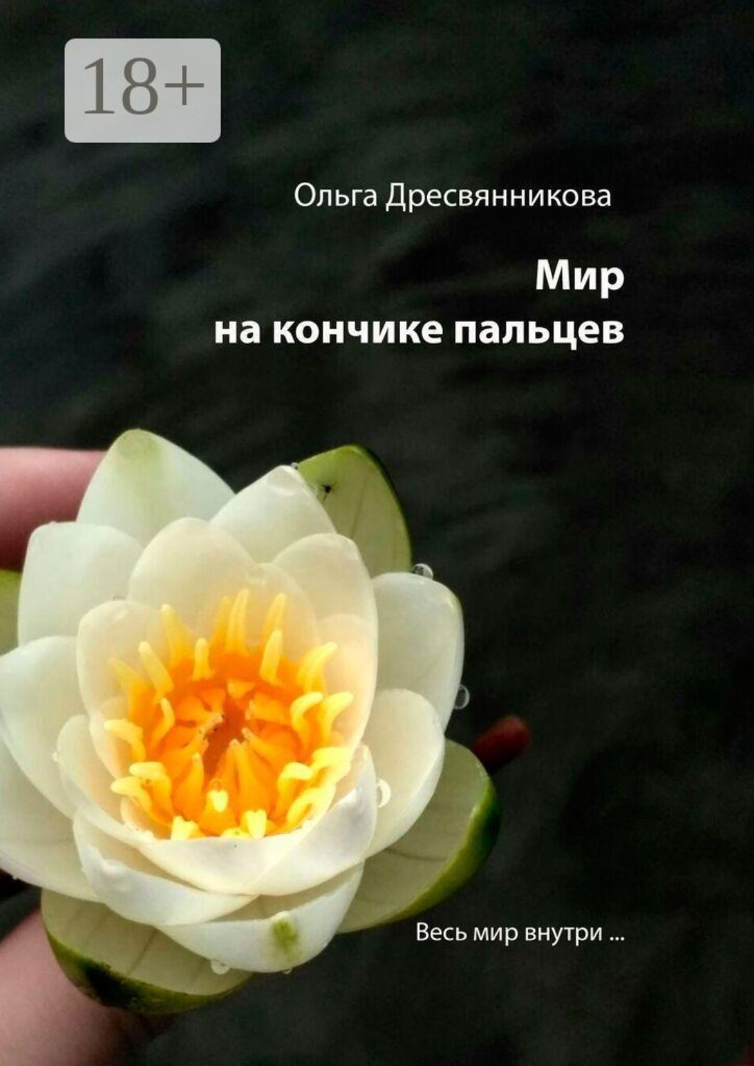 Обложка книги «Мир на кончиках пальцев… Весь мир внутри…»