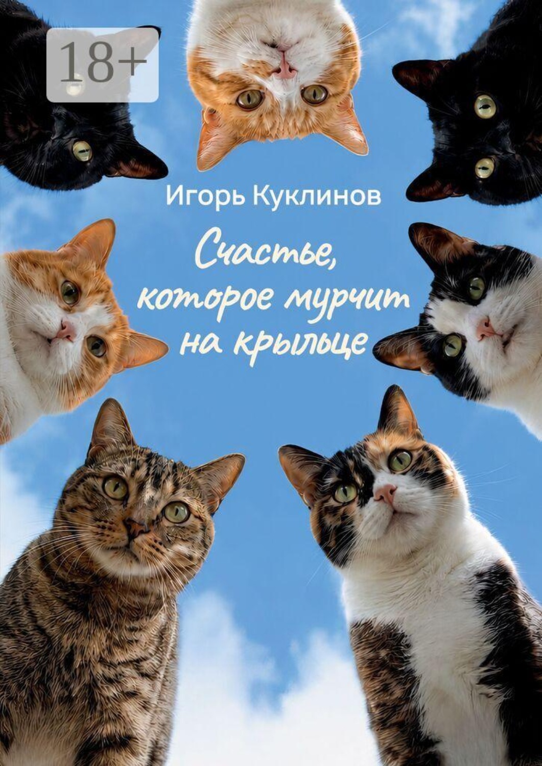 Обложка книги «Счастье, которое мурчит на крыльце»