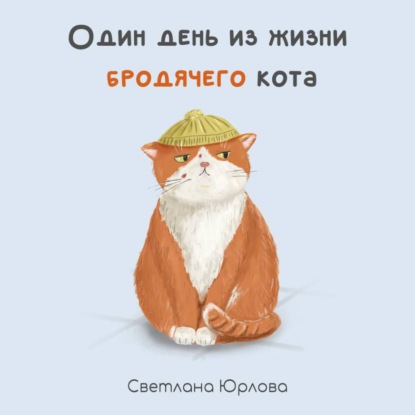 Обложка книги «Один день из жизни бродячего кота»